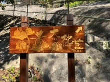 Thumbnail of pic_TB_Tung_012.JPG