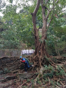 P2010005.jpg (618610 bytes)