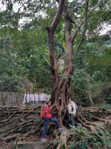 P2010006.jpg (617693 bytes)