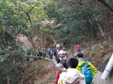 P2010013.jpg (594845 bytes)