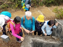 P2010020.jpg (538945 bytes)