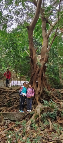 Thumbnail of pic_Derek_Wong_004.jpg