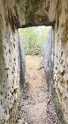 Thumbnail of pic_Dicky_Poon_008.JPG