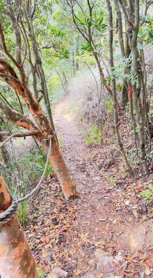 Thumbnail of pic_Dicky_Poon_018.JPG