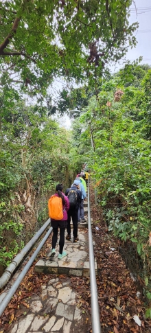 Thumbnail of pic_Si9_003.jpg