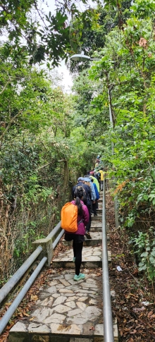 Thumbnail of pic_Si9_004.jpg