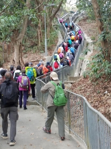 P2080001.jpg (416301 bytes)