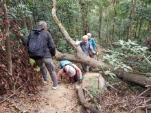 P2080010.jpg (692624 bytes)