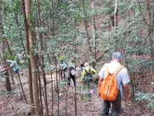 P2080027.jpg (649074 bytes)