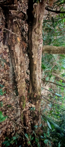 Thumbnail of pic_Cindy_Tse_020.jpg