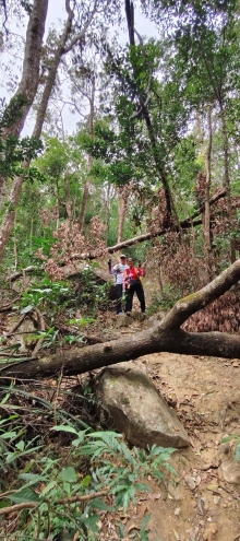 Thumbnail of pic_Derek_Wong_005.jpg