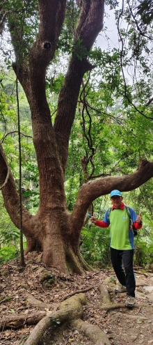 Thumbnail of pic_Derek_Wong_057.jpg