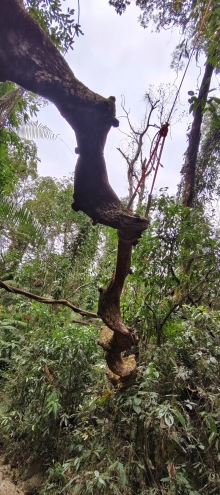 Thumbnail of pic_Derek_Wong_059.jpg