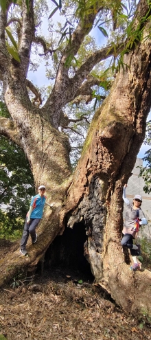 Thumbnail of pic_Derek_Wong_008.jpg