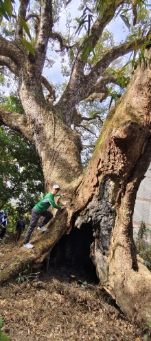 Thumbnail of pic_Derek_Wong_010.jpg