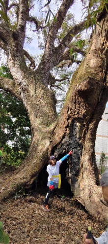 Thumbnail of pic_Derek_Wong_012.jpg