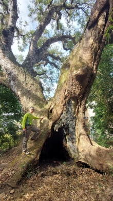 Thumbnail of pic_Esther_Chuk_005.jpg