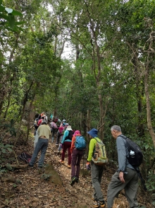 Thumbnail of pic_WaiG_003.jpg