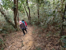 Thumbnail of pic_WaiG_004.jpg