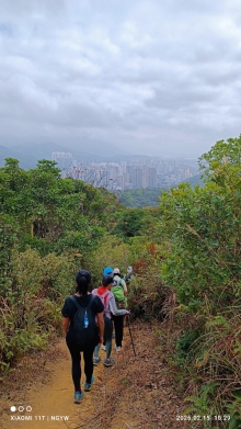 Thumbnail of pic_YW_Ng_009.jpg