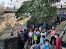 P2190066.jpg (509135 bytes)