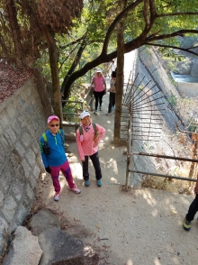 P2190080.jpg (536742 bytes)