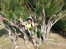 P2190090.jpg (748647 bytes)