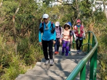 P2190099.jpg (490370 bytes)