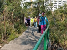 P2190103.jpg (582191 bytes)