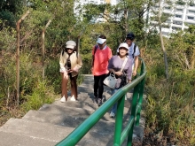 P2190112.jpg (555357 bytes)