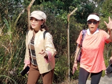 P2190113.jpg (522215 bytes)