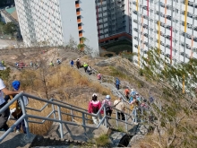 P2190121.jpg (484281 bytes)