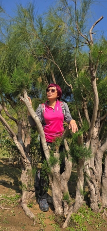 Thumbnail of pic_CW_Ho_053.jpg