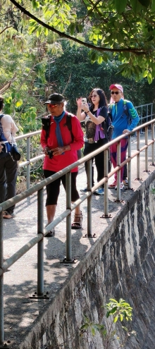 Thumbnail of pic_Wong_039.jpg