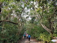 P222001.jpg (799509 bytes)