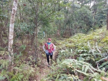 P222018.jpg (804972 bytes)