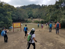 P222037.jpg (454275 bytes)