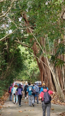 Thumbnail of pic_KL_Sin_008.jpg