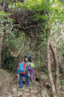 Thumbnail of pic_KL_Sin_016.jpg