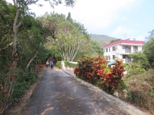 Thumbnail of pic_Sun_Chow_005.JPG