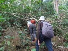 Thumbnail of pic_Sun_Chow_012.JPG