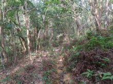 Thumbnail of pic_Sun_Chow_019.JPG