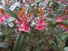 Thumbnail of pic_Sun_Chow_021.JPG