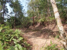 Thumbnail of pic_Sun_Chow_034.JPG