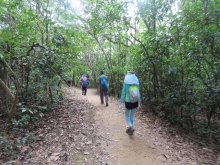 Thumbnail of pic_Sun_Chow_047.JPG