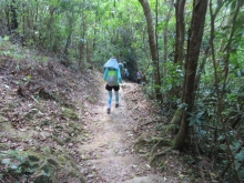 Thumbnail of pic_Sun_Chow_048.JPG