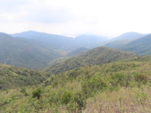 Thumbnail of pic_Sun_Chow_056.JPG