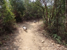 Thumbnail of pic_Sun_Chow_061.JPG