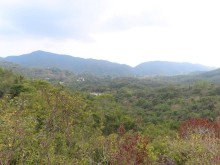 Thumbnail of pic_Sun_Chow_075.JPG