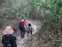 Thumbnail of pic_Sun_Chow_079.JPG